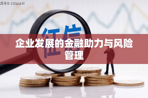罗城企业发展的金融助力与风险管理