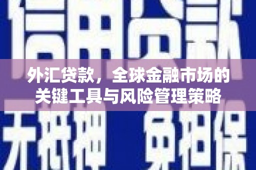 罗城外汇贷款，全球金融市场的关键工具与风险管理策略