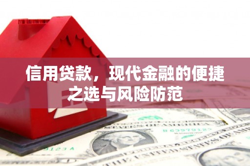 罗城信用贷款，现代金融的便捷之选与风险防范