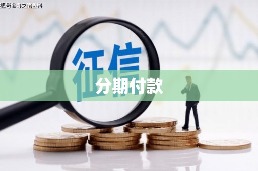 罗城分期付款