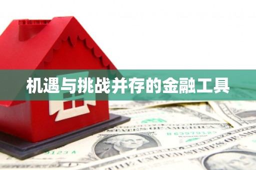 罗城机遇与挑战并存的金融工具
