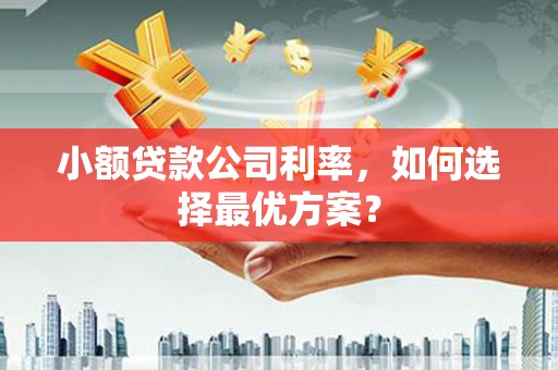罗城小额贷款公司利率，如何选择最优方案？