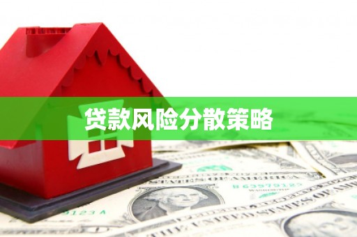 罗城贷款风险分散策略