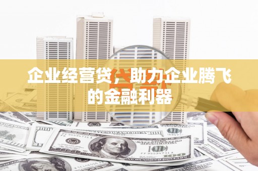 罗城企业经营贷，助力企业腾飞的金融利器