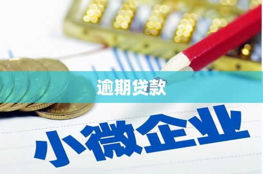 罗城逾期贷款