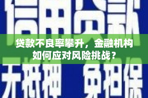 罗城贷款不良率攀升，金融机构如何应对风险挑战？