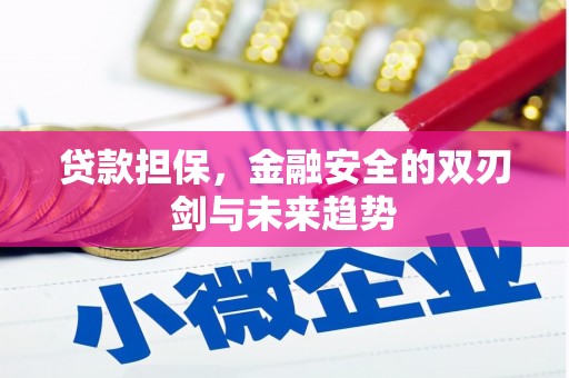 罗城贷款担保，金融安全的双刃剑与未来趋势