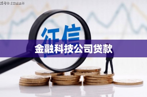 罗城金融科技公司贷款