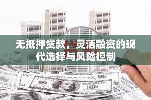罗城无抵押贷款，灵活融资的现代选择与风险控制