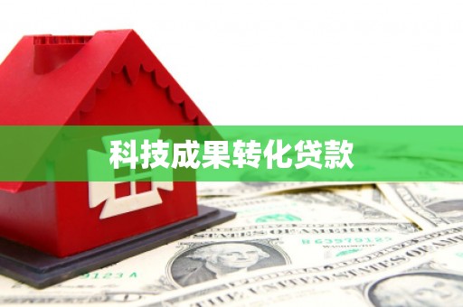罗城科技成果转化贷款
