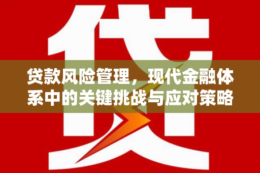 罗城贷款风险管理，现代金融体系中的关键挑战与应对策略