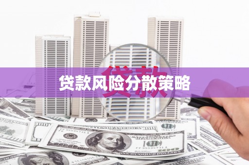 罗城贷款风险分散策略