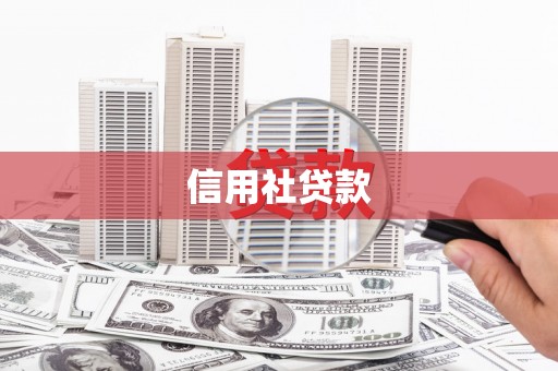 罗城信用社贷款