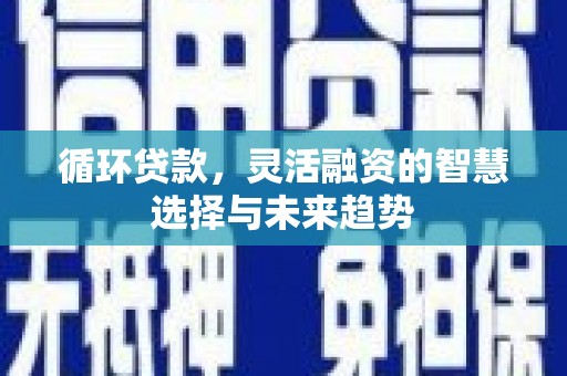 罗城循环贷款，灵活融资的智慧选择与未来趋势