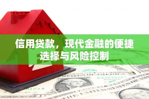 罗城信用贷款，现代金融的便捷选择与风险控制