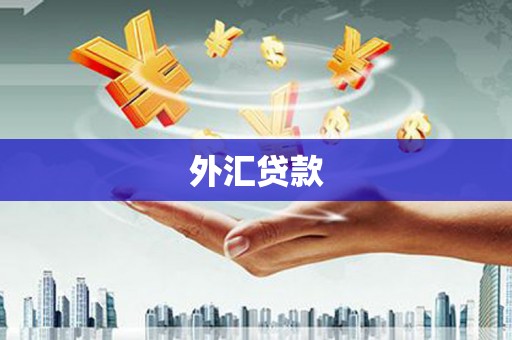 罗城外汇贷款