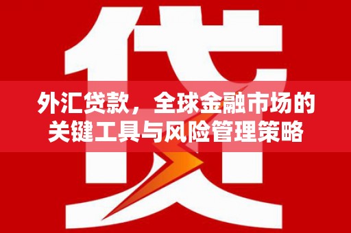 罗城外汇贷款，全球金融市场的关键工具与风险管理策略