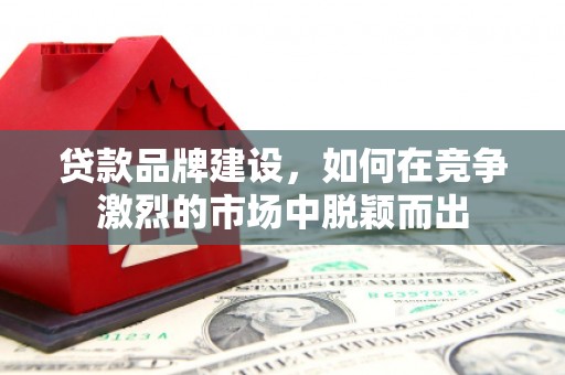 罗城贷款品牌建设，如何在竞争激烈的市场中脱颖而出