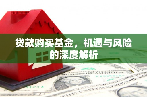 罗城贷款购买基金，机遇与风险的深度解析