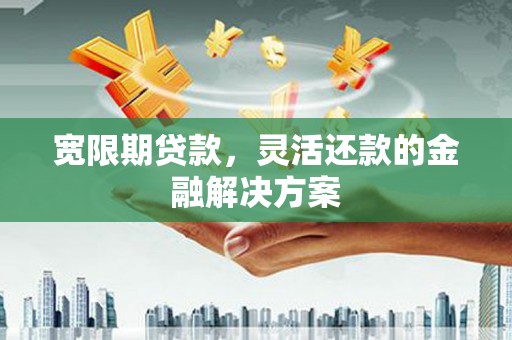 罗城宽限期贷款，灵活还款的金融解决方案