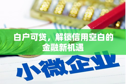 罗城白户可贷，解锁信用空白的金融新机遇