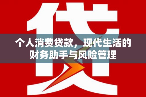 罗城个人消费贷款，现代生活的财务助手与风险管理