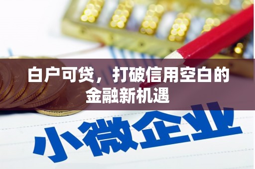 罗城白户可贷，打破信用空白的金融新机遇