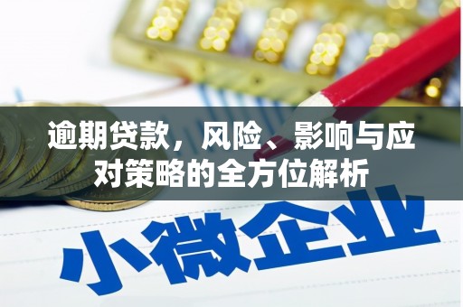 罗城逾期贷款，风险、影响与应对策略的全方位解析