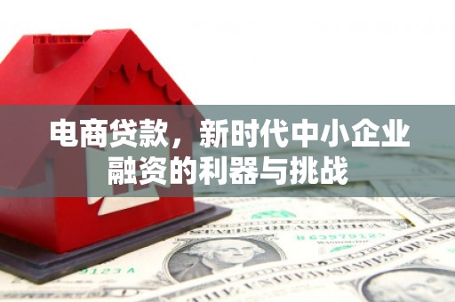 罗城电商贷款，新时代中小企业融资的利器与挑战