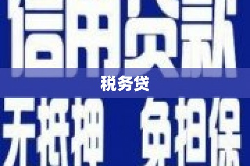 罗城税务贷