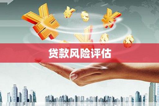 罗城贷款风险评估