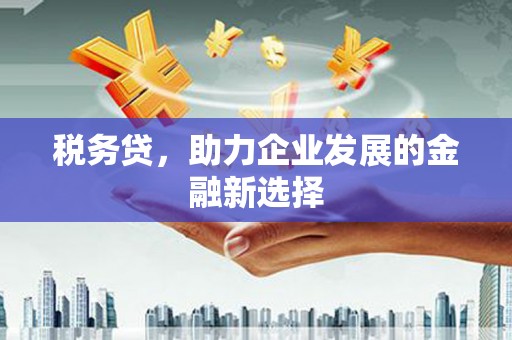 罗城税务贷，助力企业发展的金融新选择