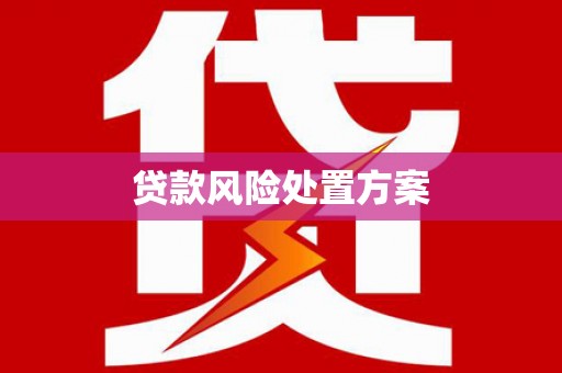 罗城贷款风险处置方案