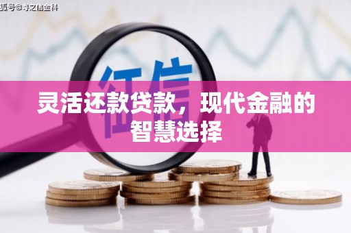 罗城灵活还款贷款，现代金融的智慧选择