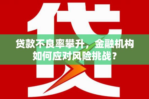 罗城贷款不良率攀升，金融机构如何应对风险挑战？
