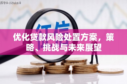 罗城优化贷款风险处置方案，策略、挑战与未来展望