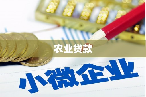 罗城农业贷款