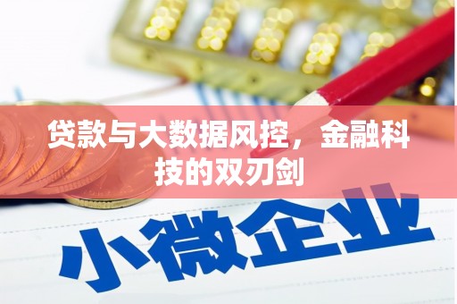 罗城贷款与大数据风控，金融科技的双刃剑