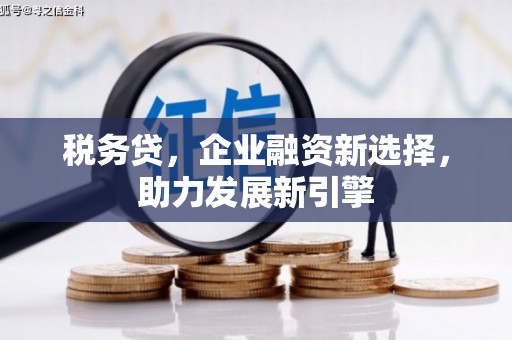 罗城税务贷，企业融资新选择，助力发展新引擎