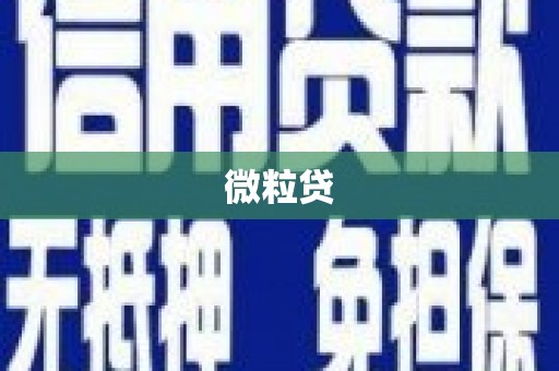 罗城微粒贷