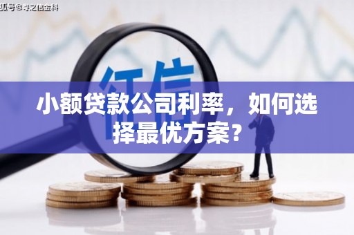 罗城小额贷款公司利率，如何选择最优方案？