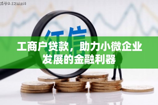 罗城工商户贷款，助力小微企业发展的金融利器