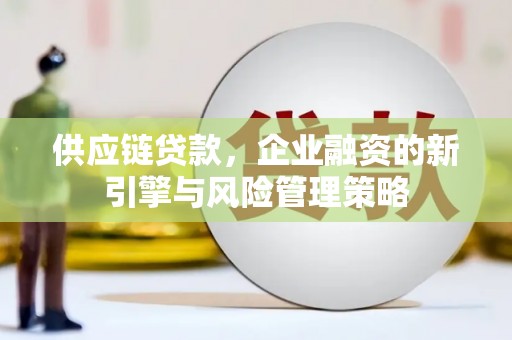 罗城供应链贷款，企业融资的新引擎与风险管理策略