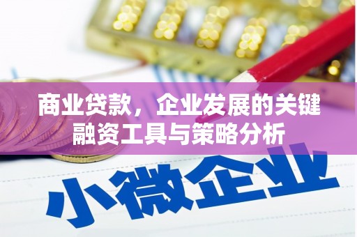 罗城商业贷款，企业发展的关键融资工具与策略分析