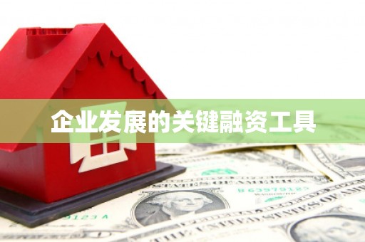 罗城企业发展的关键融资工具