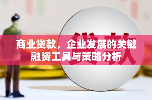 罗城商业贷款，企业发展的关键融资工具与策略分析