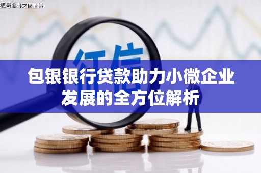 罗城包银银行贷款助力小微企业发展的全方位解析