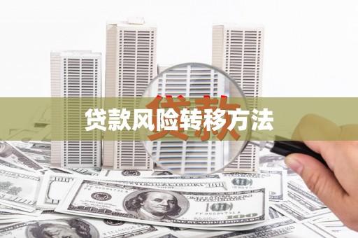 罗城贷款风险转移方法