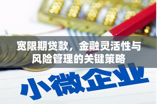罗城宽限期贷款，金融灵活性与风险管理的关键策略