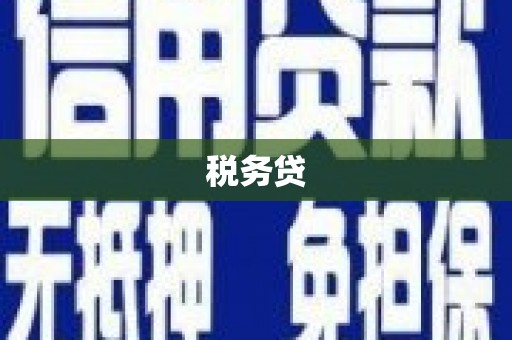 罗城税务贷